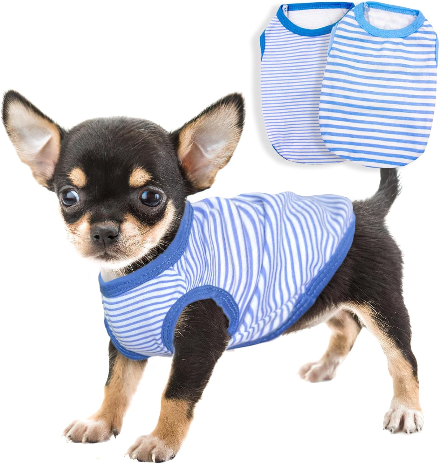 Kallfir's cutie Dog Clothes for Small Dogs Boy Summer Spring Stripe Dog Shirts cute Chihuahua Yorkie Clothes Pet Puppy Cat Clothes Tiny Dog outfit 2 Pieces